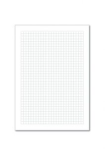 grid paper in rectangle